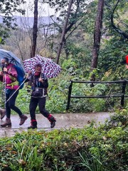 65