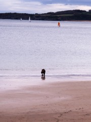 21-PROTOCOLO-INICIO-GR11