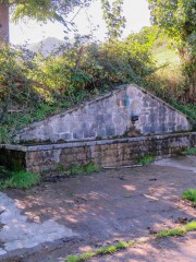 IMG_2361