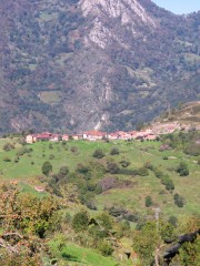 IMG_2378
