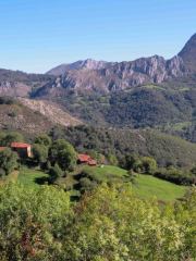 IMG_2391-Pano