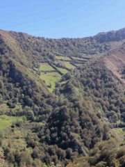 IMG_2427-Pano