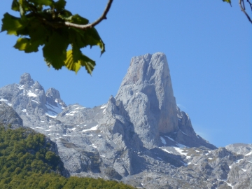 2º PREMIO FILE770 Naranjo de Bulnes
