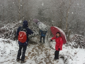 26.- Bajando del Betsaide