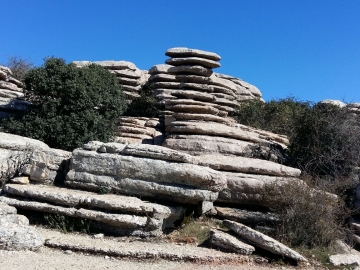 42.- 20171203_123401_TORNILLO EN EL TORCAL DE ANTEQUERA