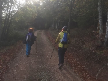 48.- IMG-20171022-WA0001_ANDANDO SE HACE CAMINO