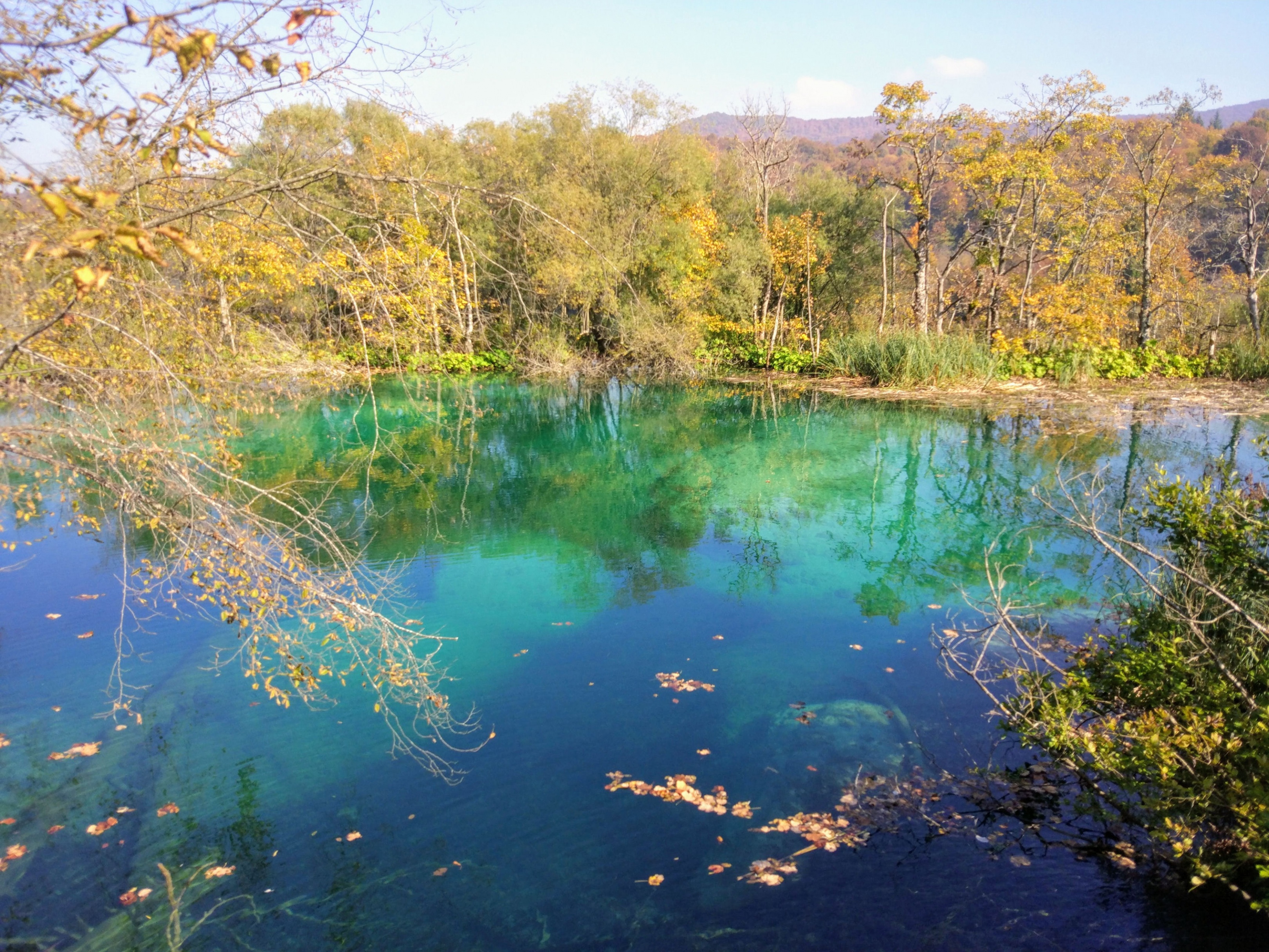 18.- IMG_20181011_113037_Colores en Plitvice (Croacia)