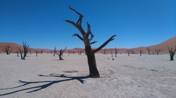 AÑO 2018 - FOTOS PRESENTADAS