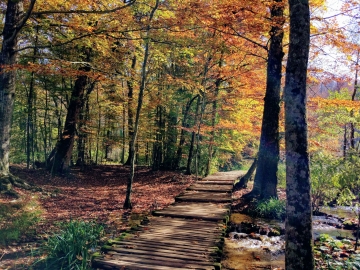 21.- SiguiendoElCamino_Lagos Plitvice_Croacia