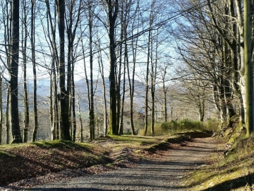 63.- 2019-02-26 14.25.25 Caminante se hace camino al andar