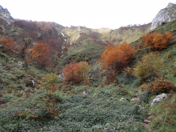 65.- 20181111 Picos de Europa. Canal de Ciercos. Cerca del fondo del valle.