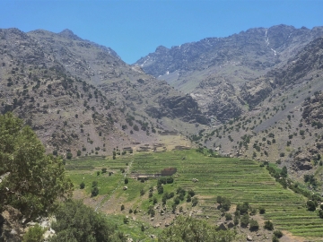 16.-Azib Tamsoult