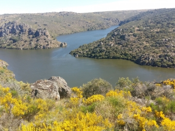 20.-DONDE SE JUNTAN EL DUERO Y EL ESLA 20190524_100113