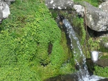 27.-MANANTIAL Fuente del Espino