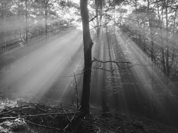 4.-IMG_20190805_192853_Luces y sombras (Leizargarate)