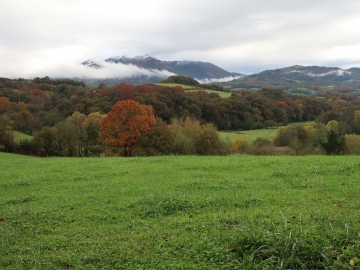 52.-2019 11 17 008 Valle de Baztan IMG_0981