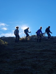 ALEJANDRO-SALAN-GARCIA-Concentrados-en-bajar