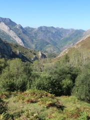 CARMEN-ESTRADA-CAMPO-Parque-de-Ponga-Asturias