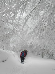 CHARO-MORENO-CANDO-Fila-de-montaneros-por-el-bosque-nevado