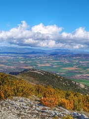 JOSE-ANTONIO-HERRERO-ANDRES-Libertad