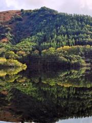 KOLDO-OLAMENDI-MURGA-Reflejo-sobre-el-pantano-de-Endara