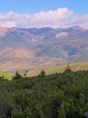 TEODORO-ESTEBAN-ESTEBAN-PENON-DE-ARBILLOS-LEON-ESPIGUETE