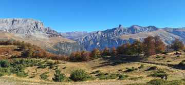 AÑO 2025 - FOTOS PRESENTADAS