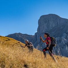 14.-Un-mismo-latido-hacia-la-cima-scaled
