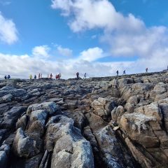 15.-Agreste-y-bellla-scaled