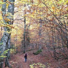 21.-Introspectiva-scaled