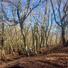 26.-BANO-DE-BOSQUE-scaled