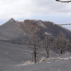 35.-La-otra-cara-de-la-naturaleza-scaled