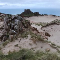 46.-CAMINO-DE-LA-DUNA-scaled