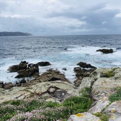 61.-Las-cruces-scaled