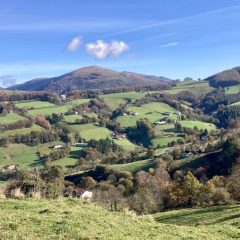 65.-Malerreka-scaled