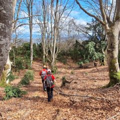 77.-Esto-es-un-orgullo-scaled