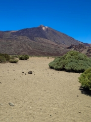 13.-El desierto del volcan (Teide-Tenerife)
