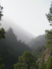 36.-La Palma en calma