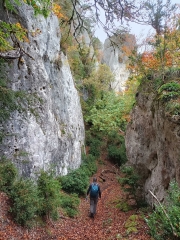 49.-Entre peñas y hojarasca IMG20211021131505