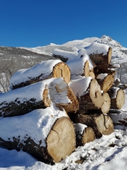 50.-2-- Naturaleza muerta
