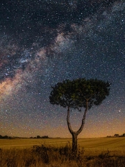 6.-La Via Lactea - 1