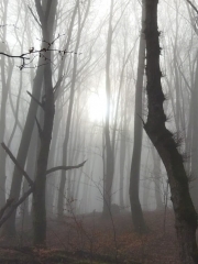 67.-Se levanta la niebla IMG-20220130-WA0043
