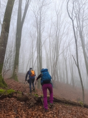 72.-NP1 Montañeros en la niebla