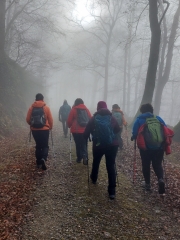 84.-NIEBLA