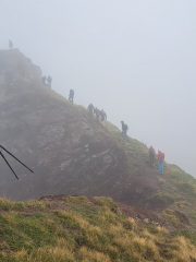 46.-A-LA-CIMA-EN-FILA-2A