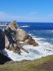 67.-2o-PREMIO-2-Poderosa-naturaleza