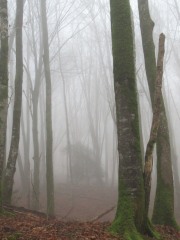 8.-DE-CAMINO-AL-AIZKOLEGI