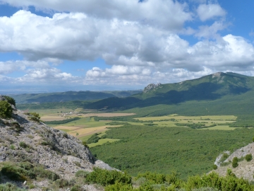 P1160659