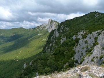P1160667
