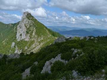 P1160684